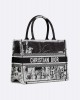 DIOR Medium Dior Book Tote M1296ZEGG_M933