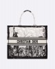 DIOR Large Dior Book Tote – Americas Exclusive M1286ZEGH_M933