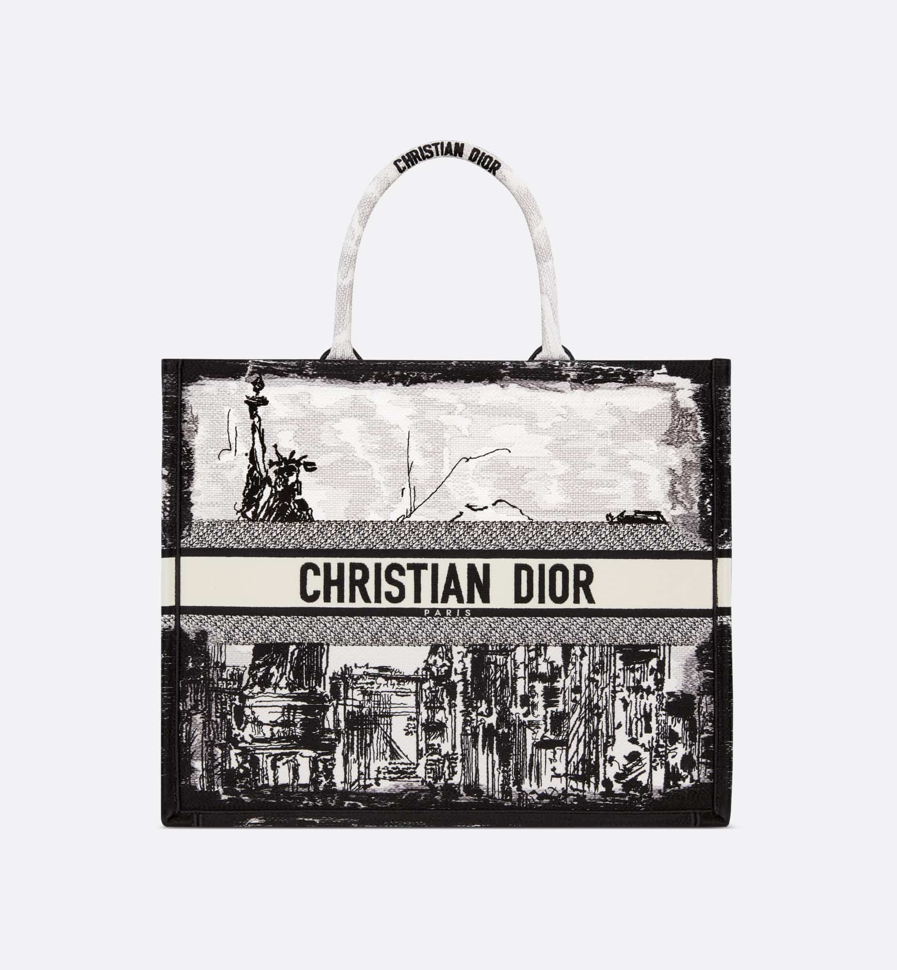 DIOR Large Dior Book Tote – Americas Exclusive M1286ZEGH_M933