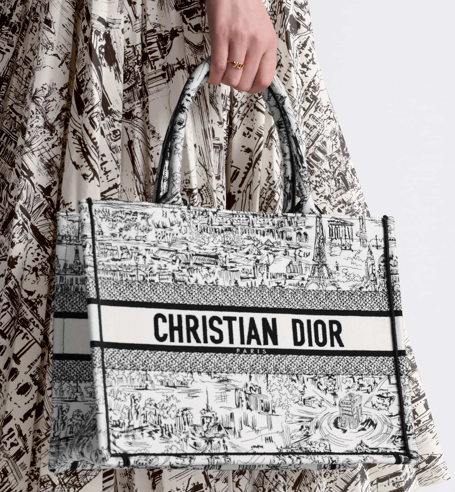 DIOR Medium Dior Book Tote M1296ZEGI_M933