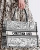 DIOR Medium Dior Book Tote M1296ZEGI_M933