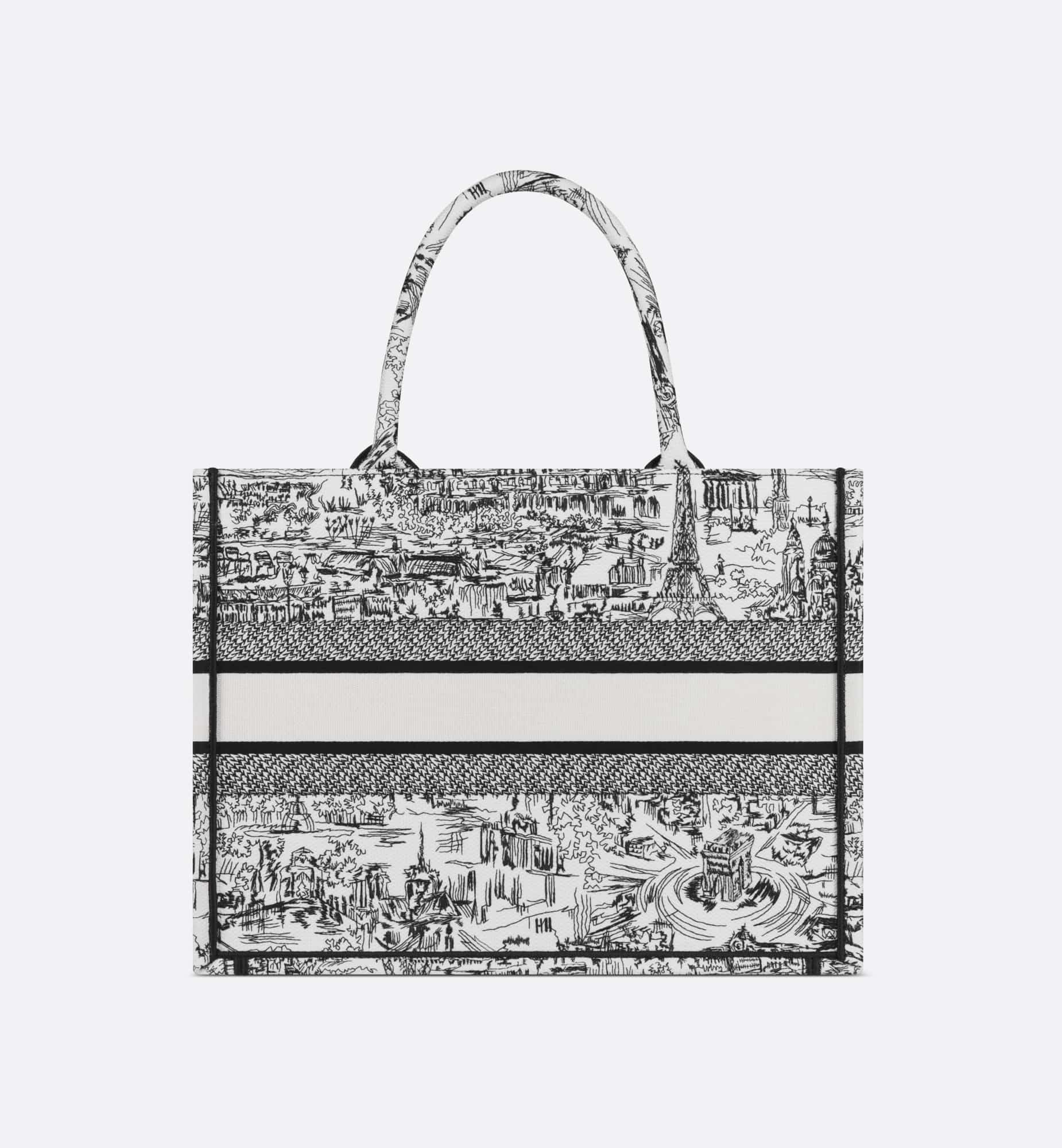 DIOR Medium Dior Book Tote M1296ZEGI_M933