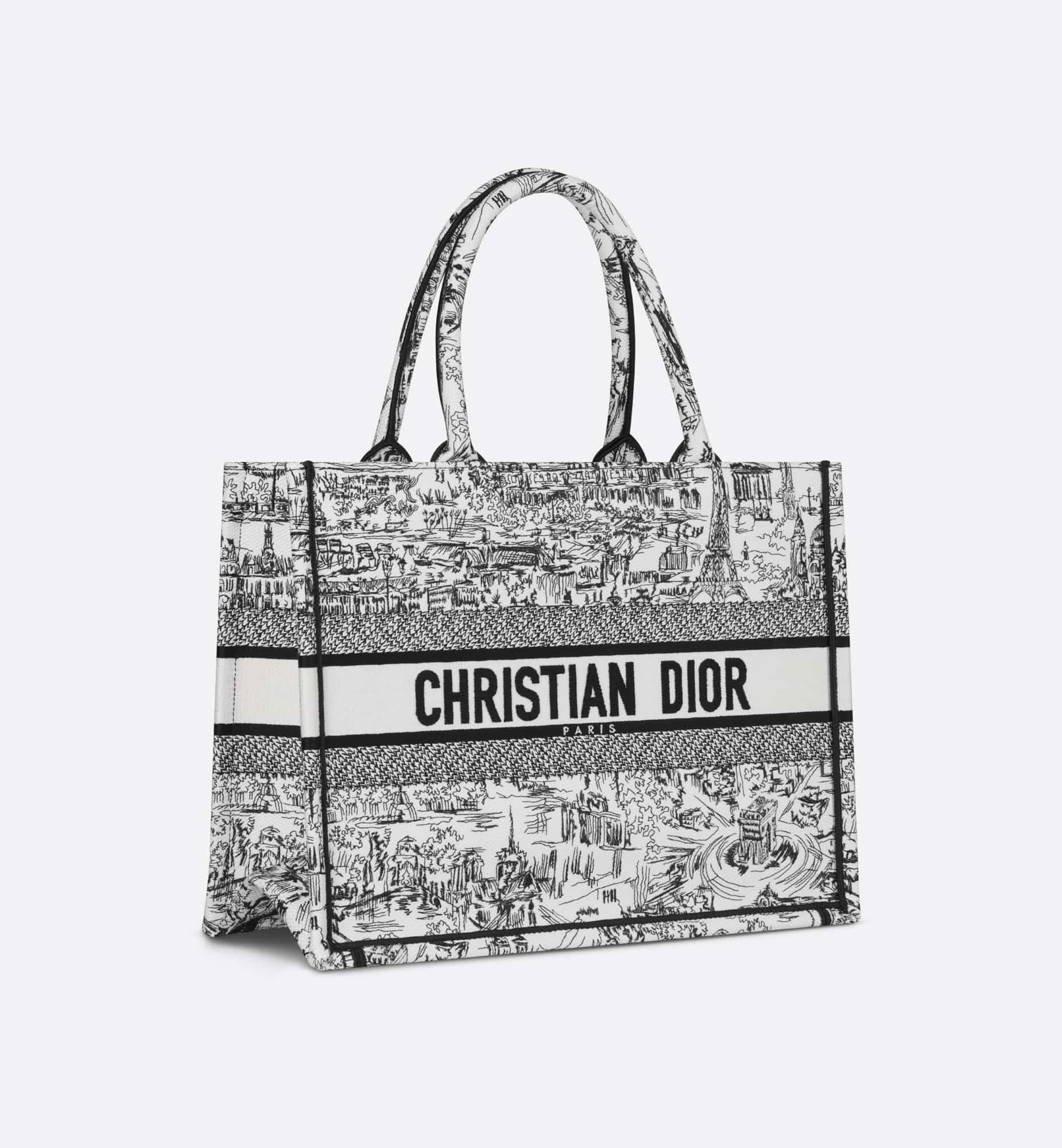 DIOR Medium Dior Book Tote M1296ZEGI_M933