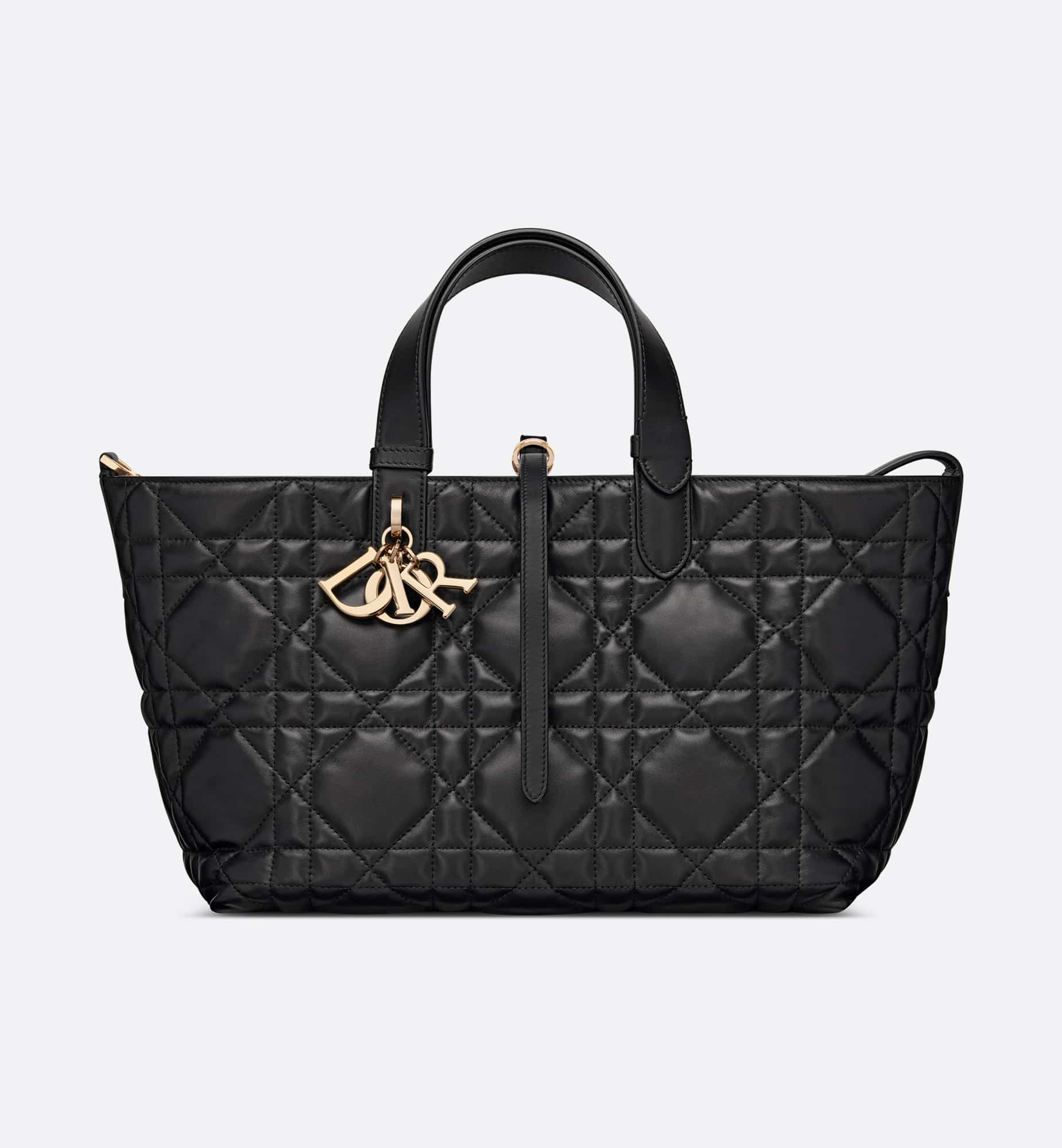 DIOR Medium Dior Toujours Bag M2821OSHJ_M900