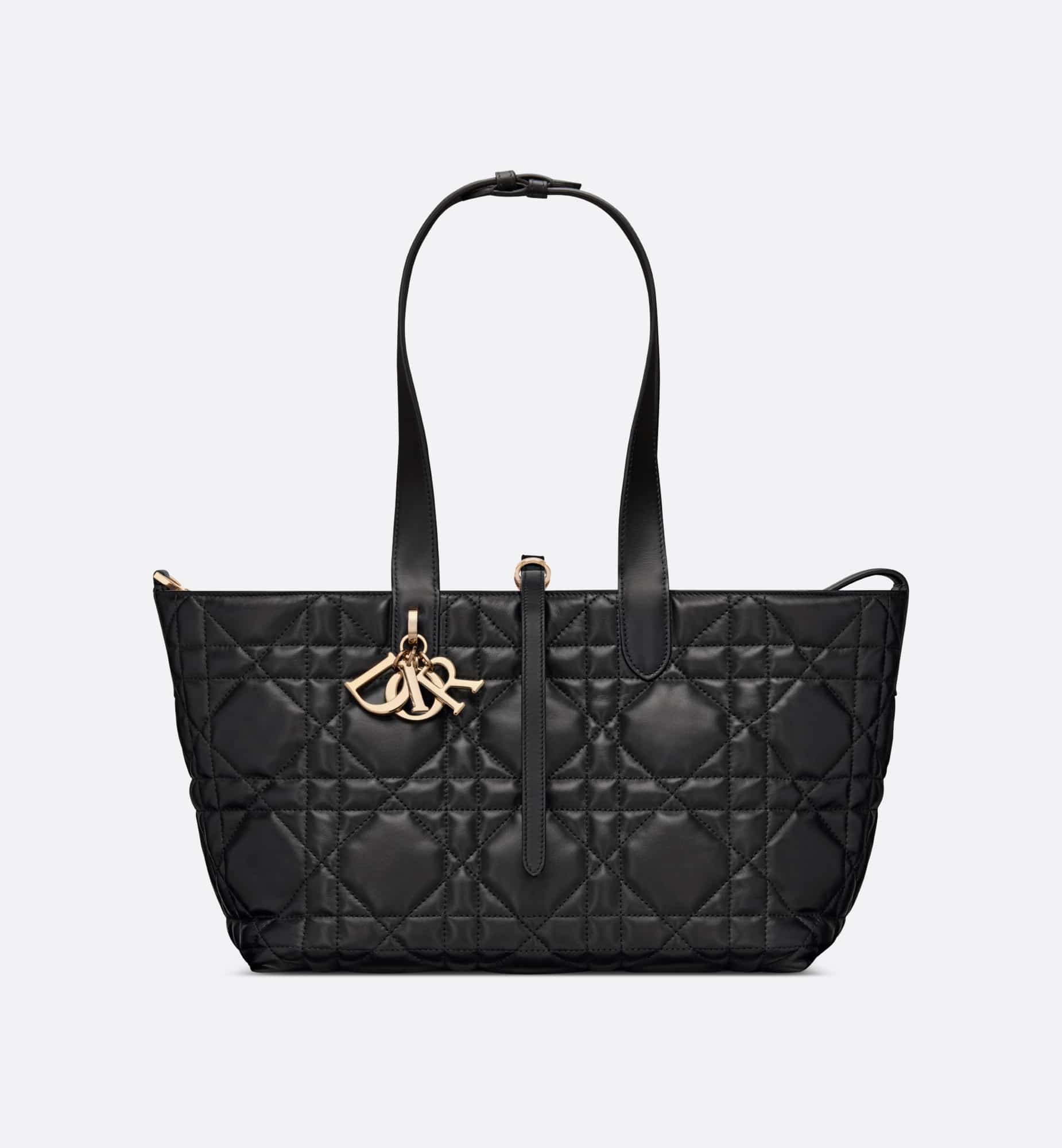 DIOR Medium Dior Toujours Bag M2821OSHJ_M900