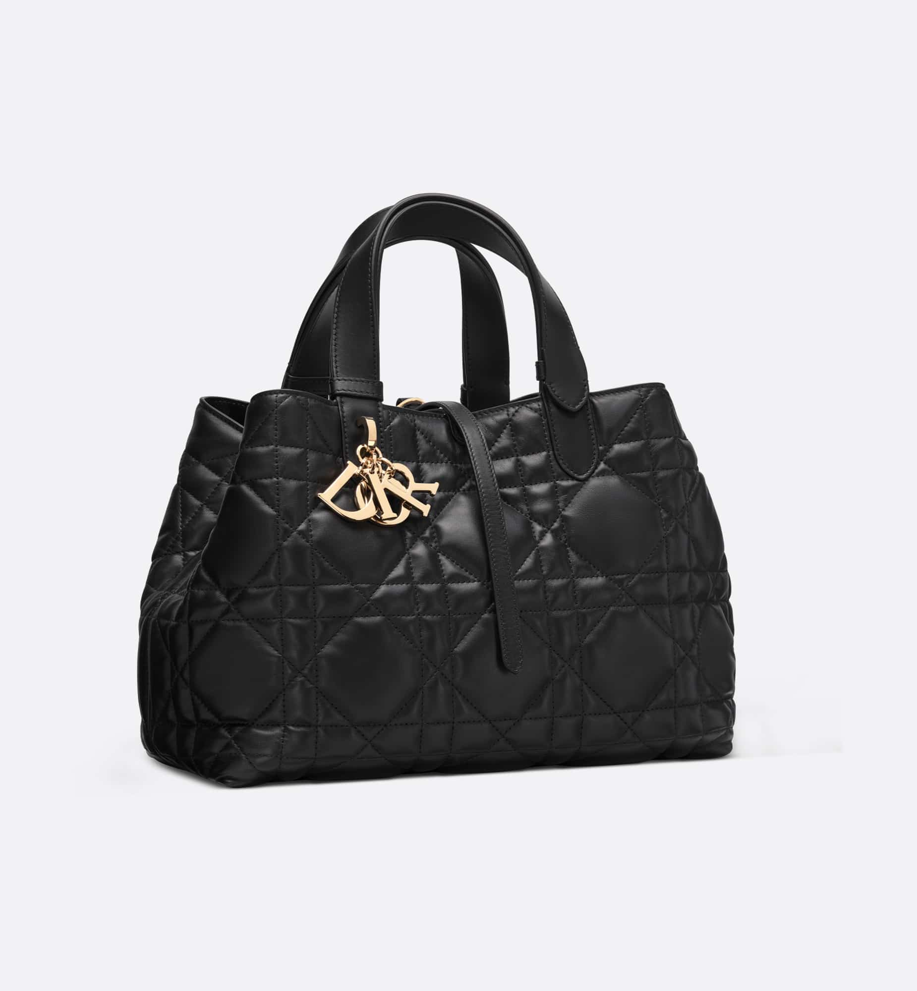 DIOR Medium Dior Toujours Bag M2821OSHJ_M900