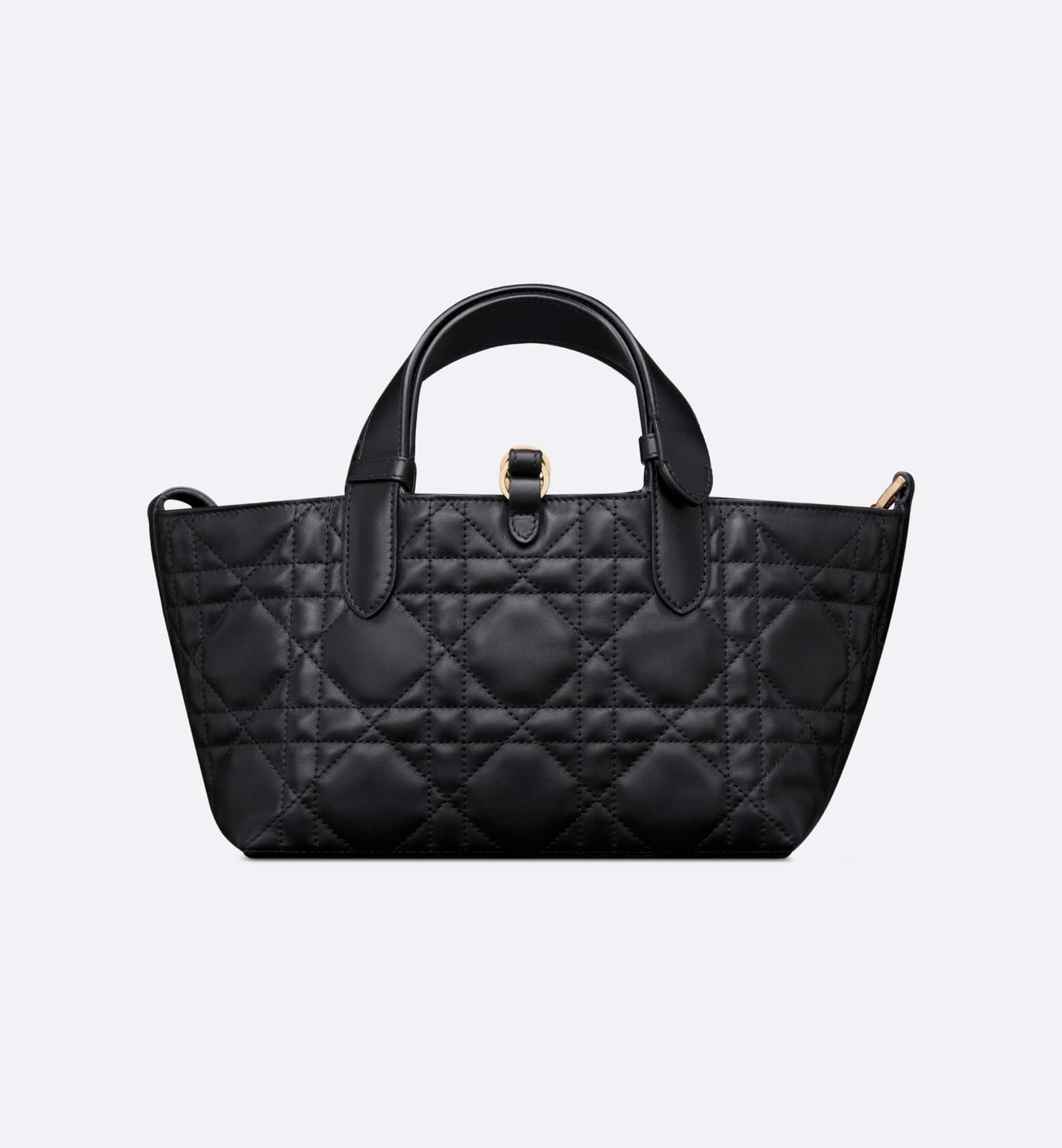 DIOR Small Dior Toujours Bag M2822OSHJ_M900