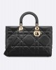 DIOR Large Lady D-Sire Bag M1152OHOW_M900