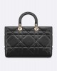 DIOR Large Lady D-Sire Bag M1152OHOW_M900