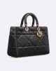 DIOR Large Lady D-Sire Bag M1152OHOW_M900