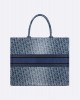 DIOR Large Dior Book Tote M1286ZEGC_M49E