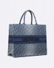 DIOR Large Dior Book Tote M1286ZEGC_M49E