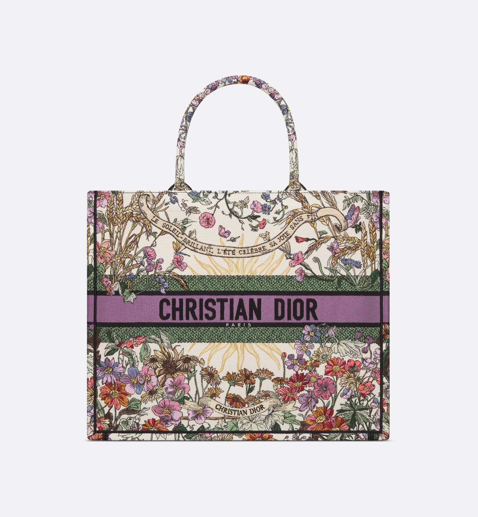 DIOR Large Dior Book Tote M1286ZEBH_M20E