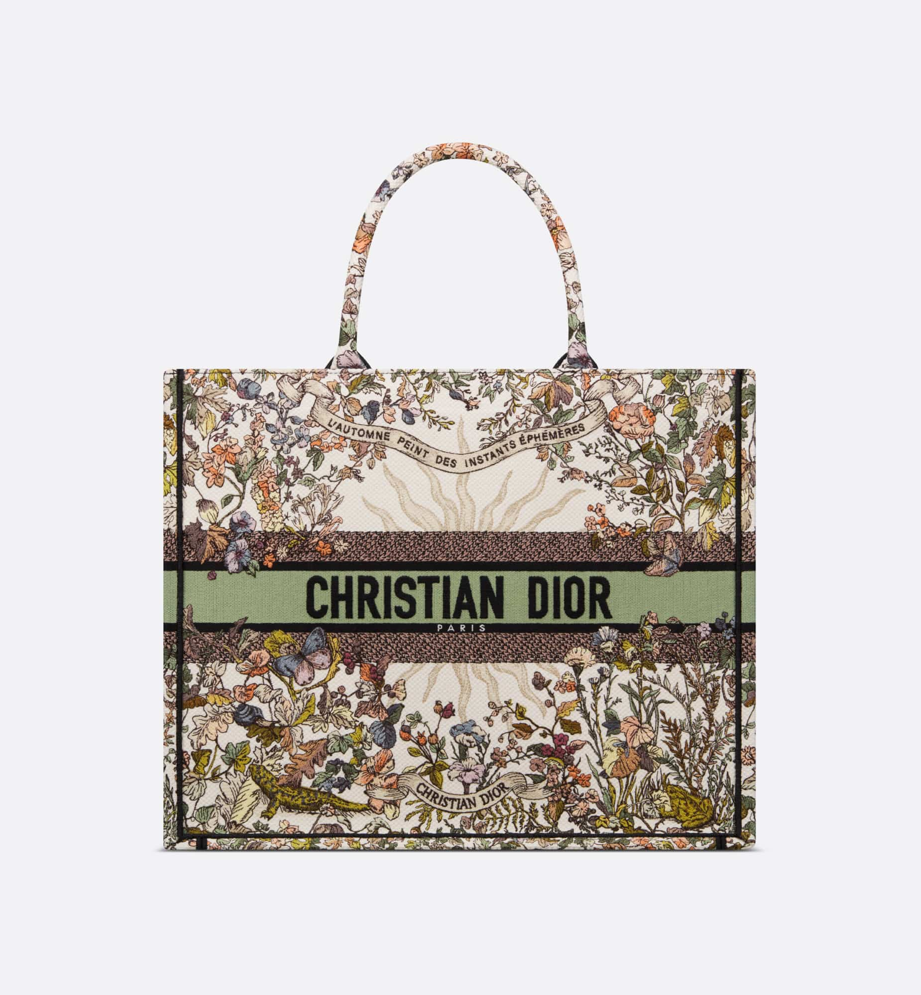 DIOR Large Dior Book Tote M1286ZEBI_M20E