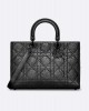 DIOR Large Lady D-Sire Bag M1152SNIO_M900