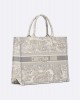 DIOR Large Dior Book Tote M1286ZTDT_M20I