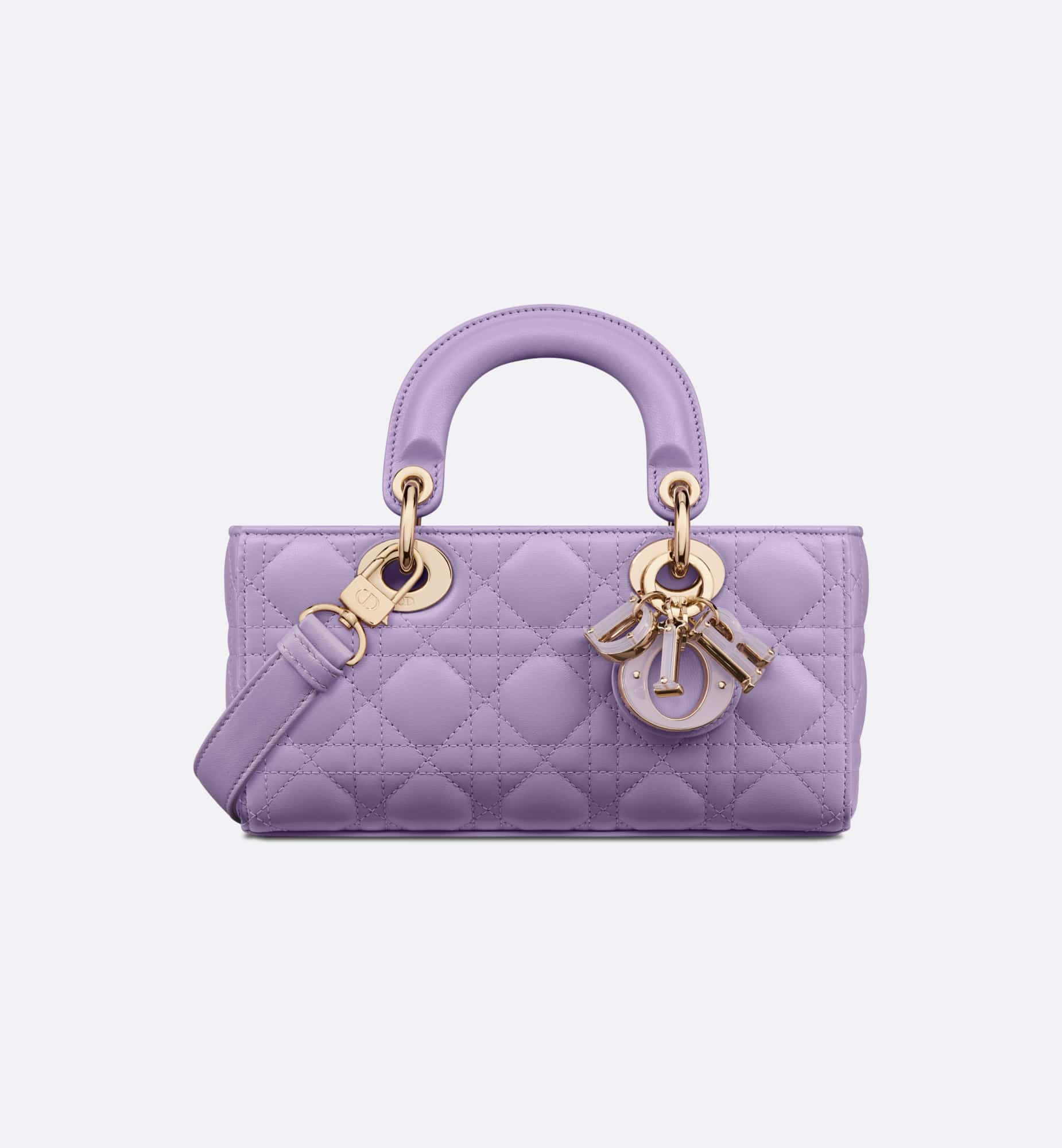 DIOR Small Lady D-Joy Bag M0613ONII_M401