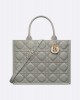 DIOR Medium Dior Book Tote M1324OWHP_M41G