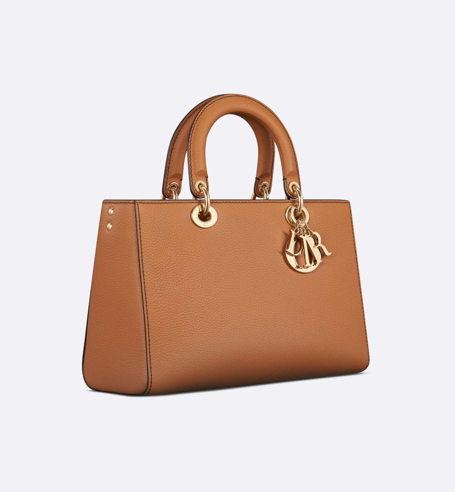 DIOR Medium Lady D-Sire My ABCDior Bag M1151OTRL_M30M