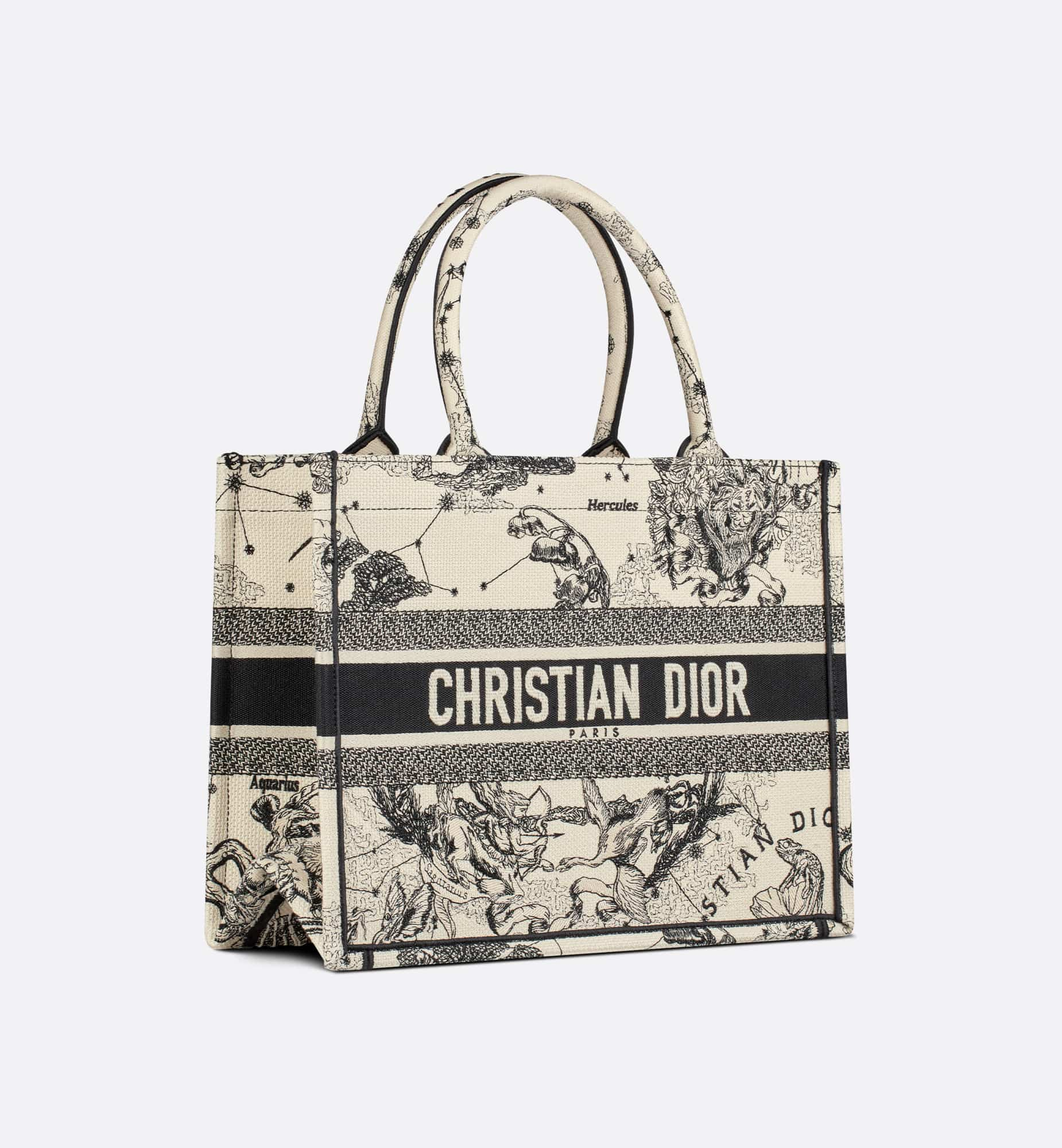 DIOR Medium Dior Book Tote M1296ZRHZ_M06E