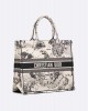 DIOR Large Dior Book Tote M1286ZRHZ_M06E