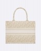 DIOR Medium Dior Book Tote M1296ZTQR_M981