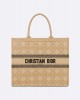 DIOR Large Dior Book Tote M1286ZSQD_M925