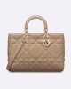 DIOR Large Lady D-Sire Bag M1152OHOW_M55U