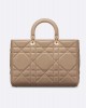 DIOR Large Lady D-Sire Bag M1152OHOW_M55U