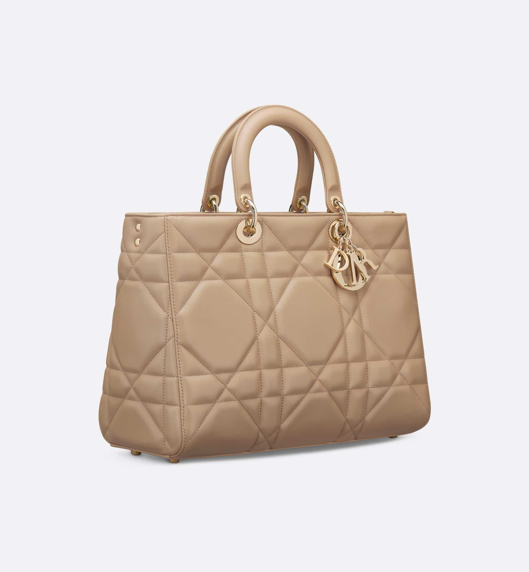 DIOR Large Lady D-Sire Bag M1152OHOW_M55U