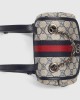 Gucci Ophidia mini backpack Style ‎795221 96IWN 4076