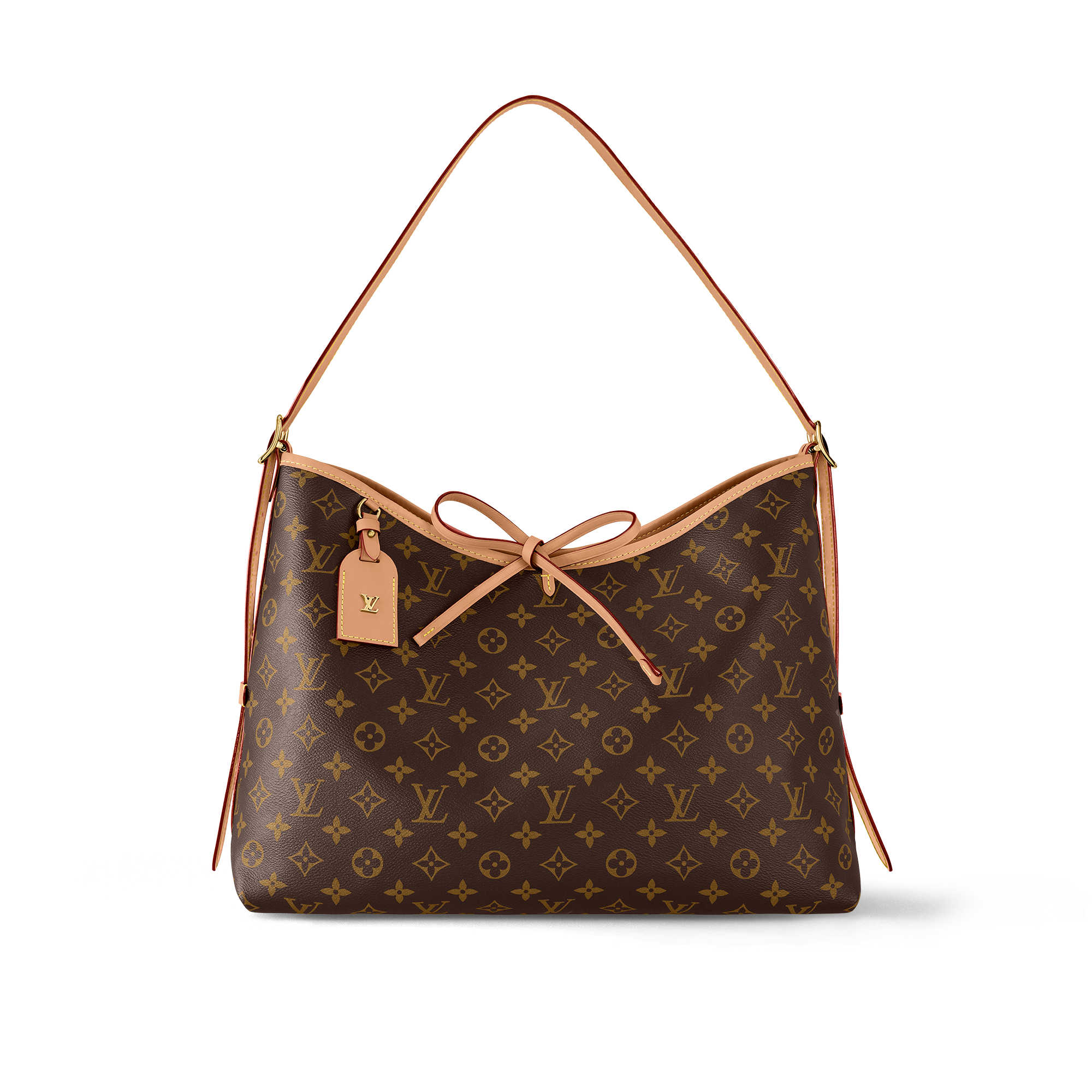 Louis Vuitton M46197 CarryAll MM (2)