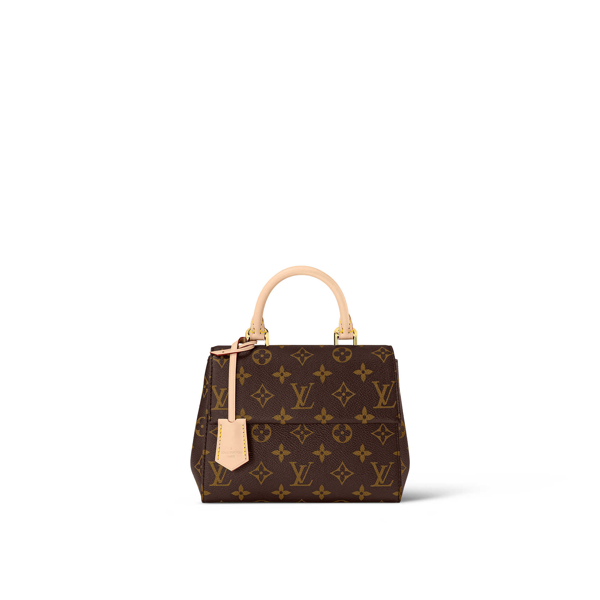 Louis Vuitton M46055 Cluny Mini