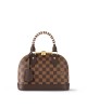 Louis Vuitton N40447 Braided Alma BB