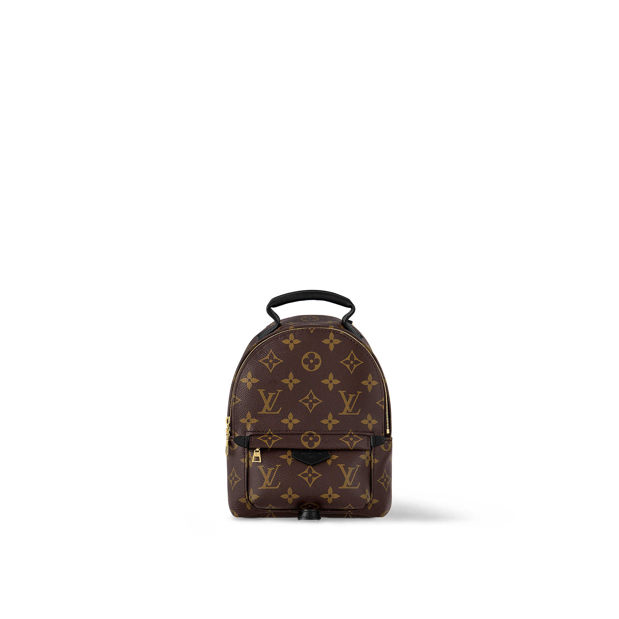 Louis Vuitton M44873 Palm Springs Mini