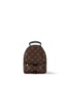 Louis Vuitton M44873 Palm Springs Mini