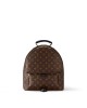 Louis Vuitton M44874 Palm Springs MM