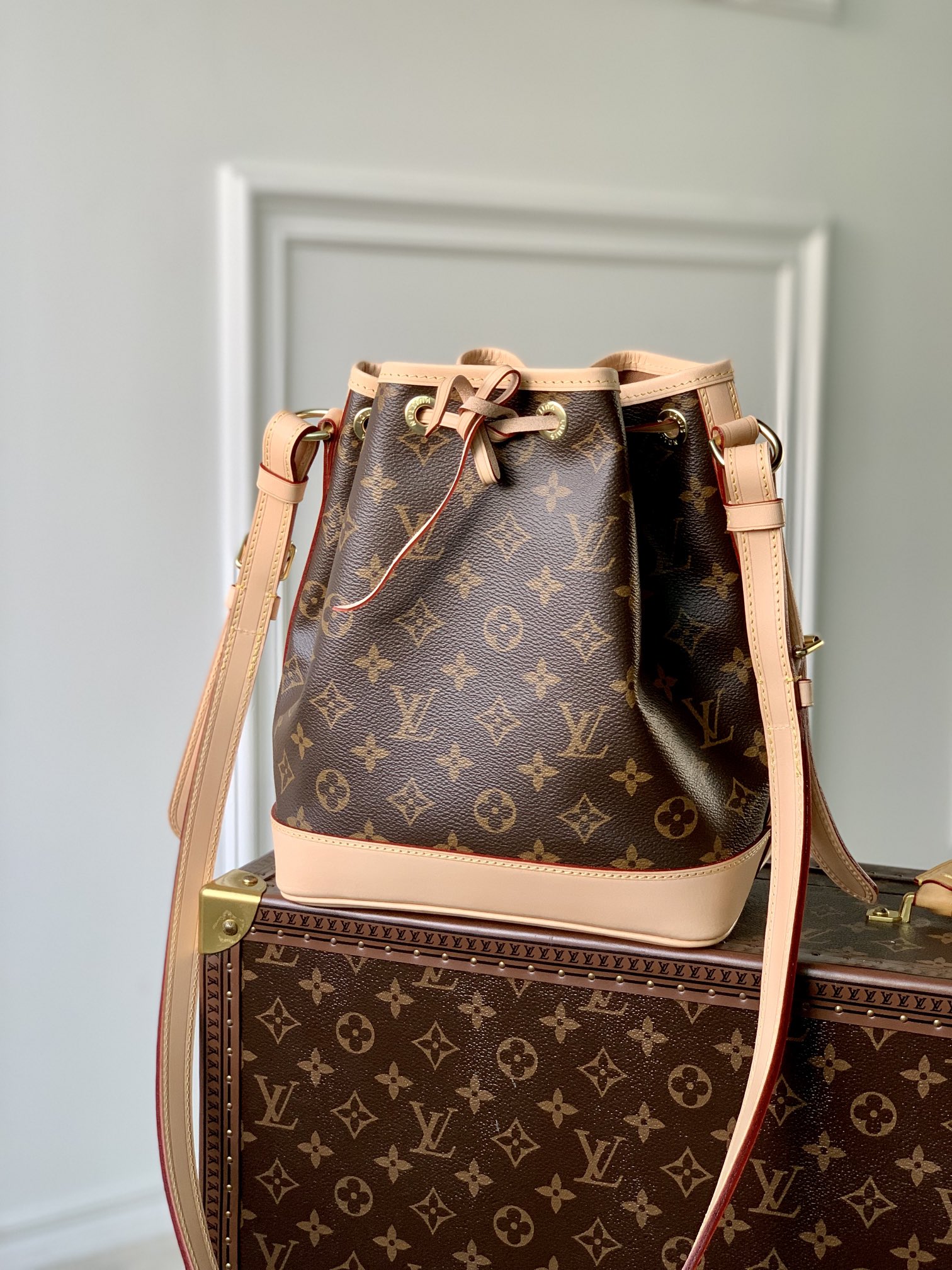 Louis Vuitton M46983 Noé BB (2)