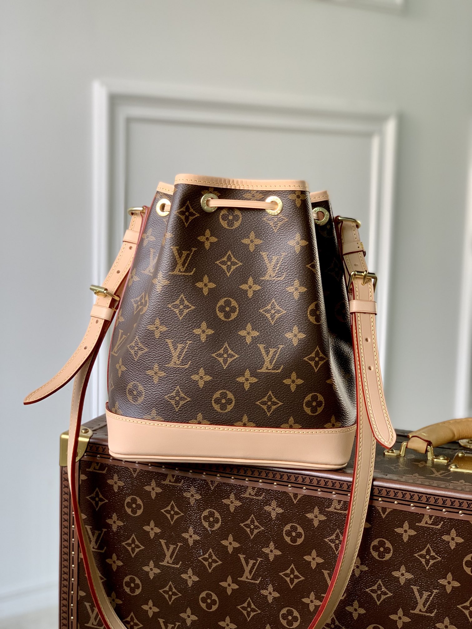 Louis Vuitton M46983 Noé BB (2)