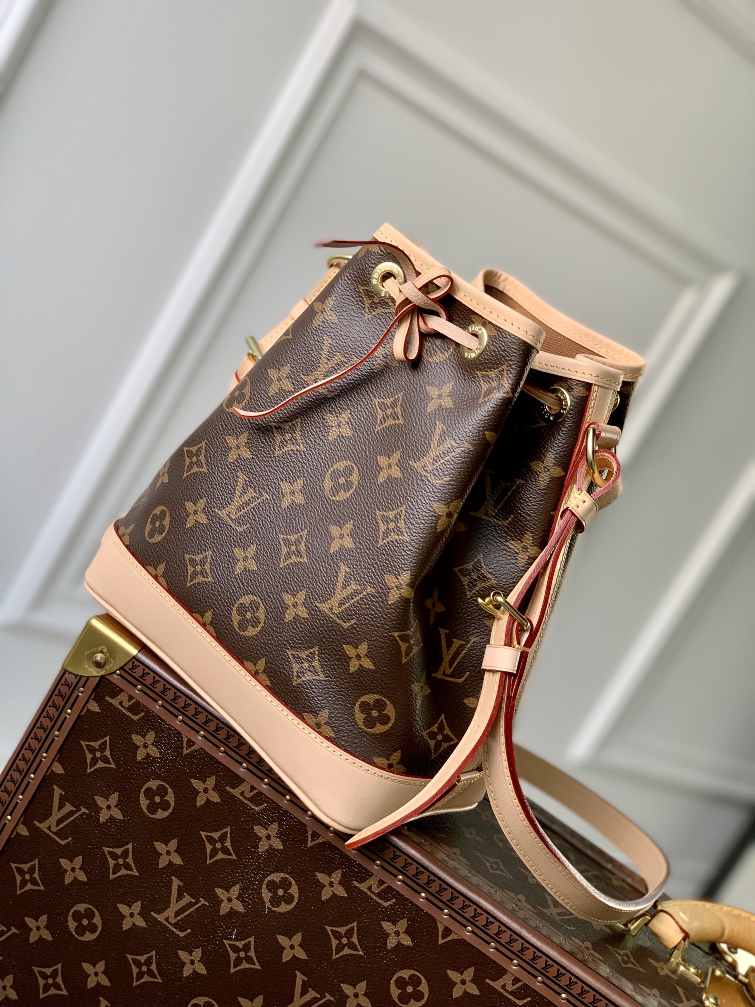 Louis Vuitton M46983 Noé BB (2)