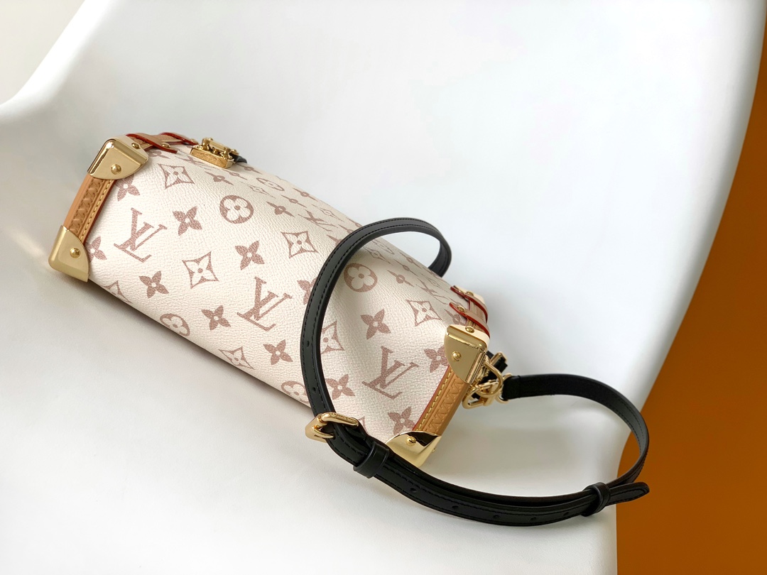 Louis Vuitton M46907 Side Trunk MM (6)