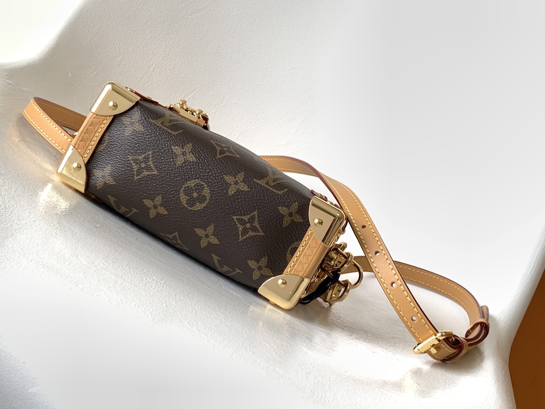 Louis Vuitton M46815 Side Trunk PM