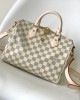 Louis Vuitton N40608 Speedy Bandoulière 25 (2)