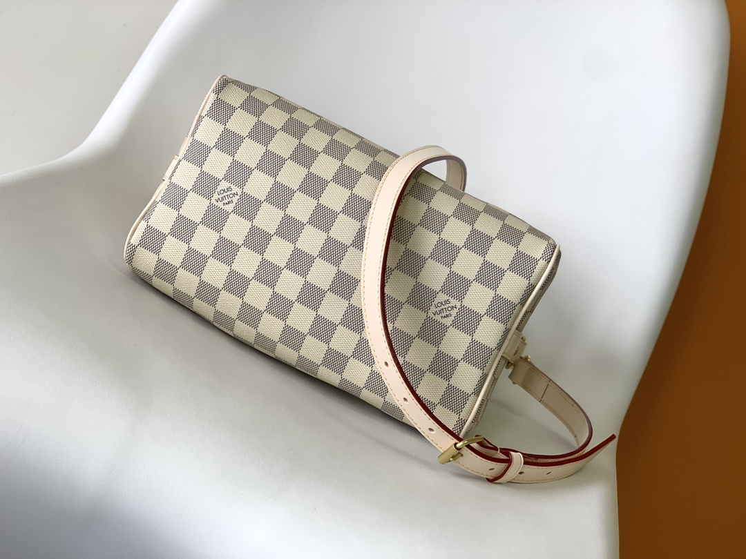 Louis Vuitton N40608 Speedy Bandoulière 25 (2)