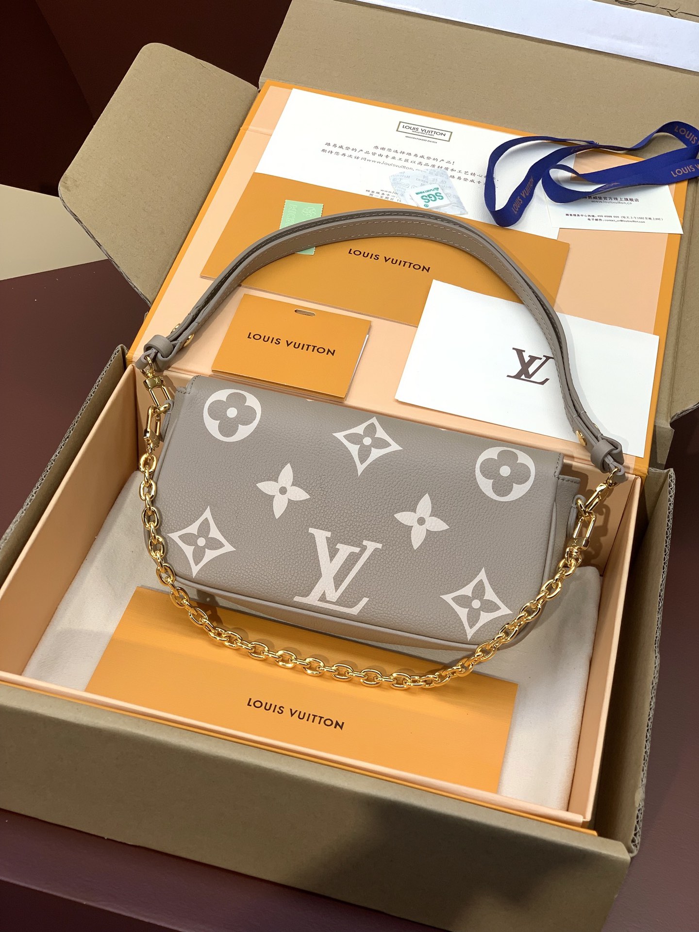 Louis Vuitton M82211 Wallet On Chain Ivy (5)