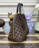 Louis Vuitton N53151 Alma PM (3)