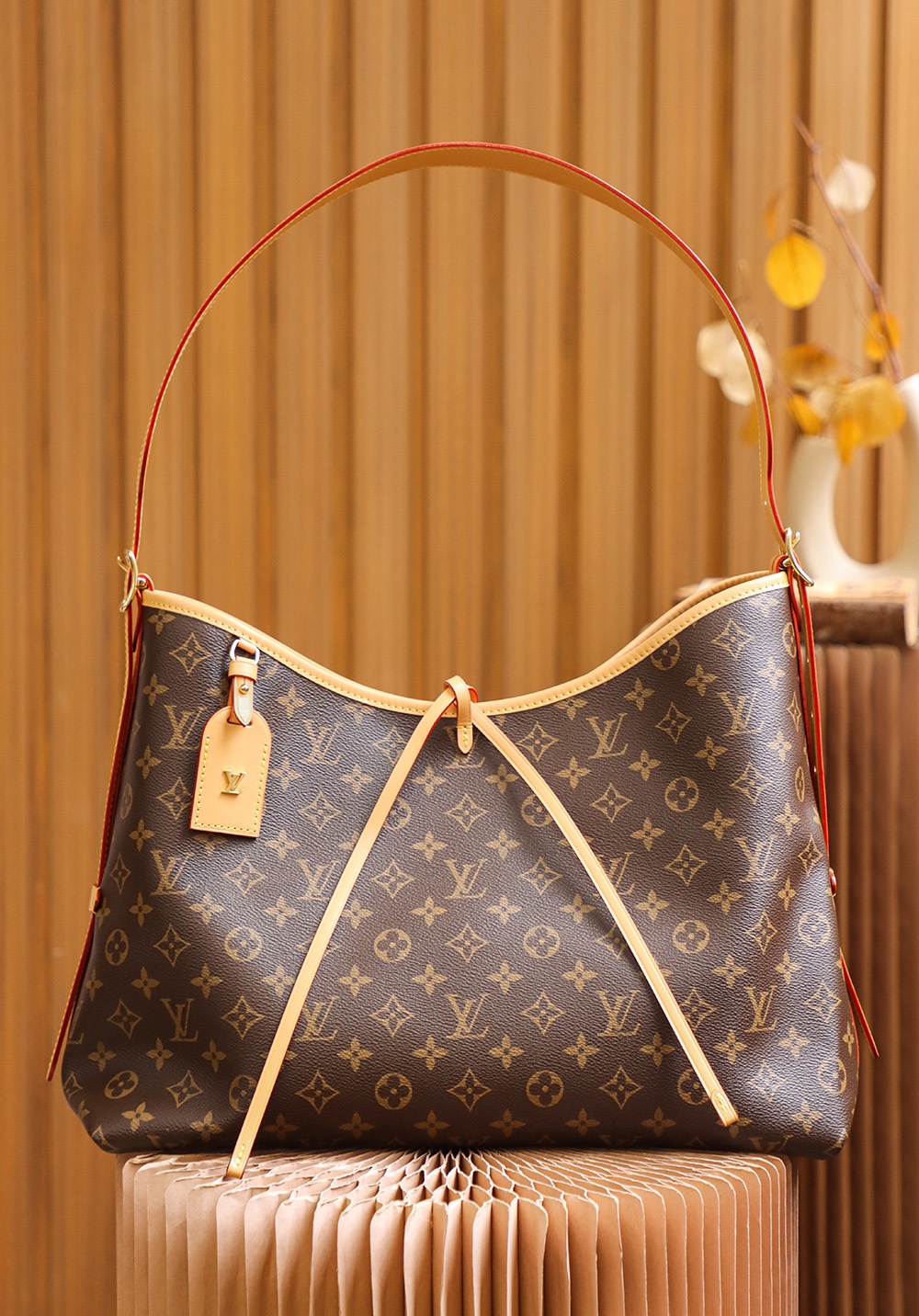 Louis Vuitton M46197 CarryAll MM (2)