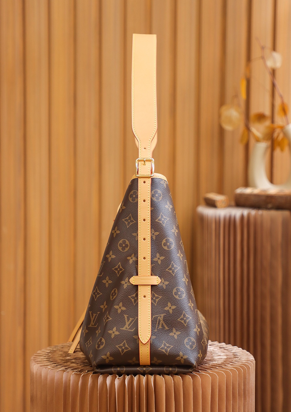 Louis Vuitton M46197 CarryAll MM (2)