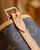 Louis Vuitton M46197 CarryAll MM (2)