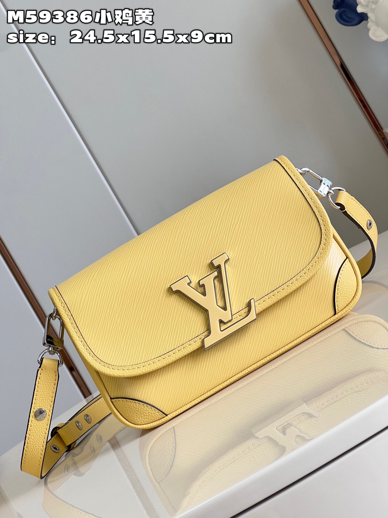 Louis Vuitton M22618 Buci